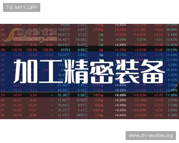 wm真人怎么样值得信赖吗，玩家真实体验分享与评价分析